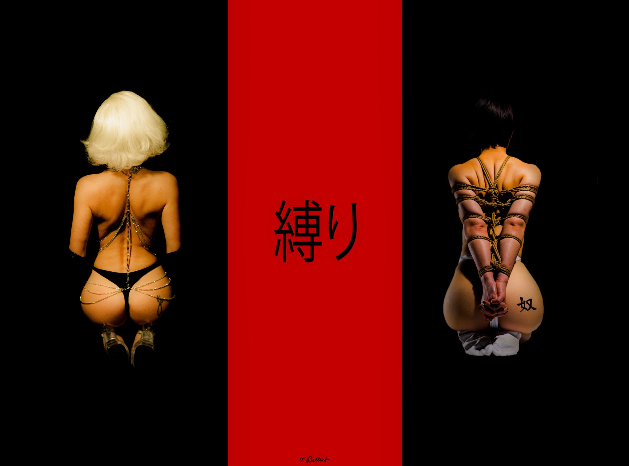 Small.  Two Cultures on Bondage 